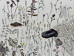 Agrandir l'image (fenêtre modale)